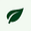 leaf icon