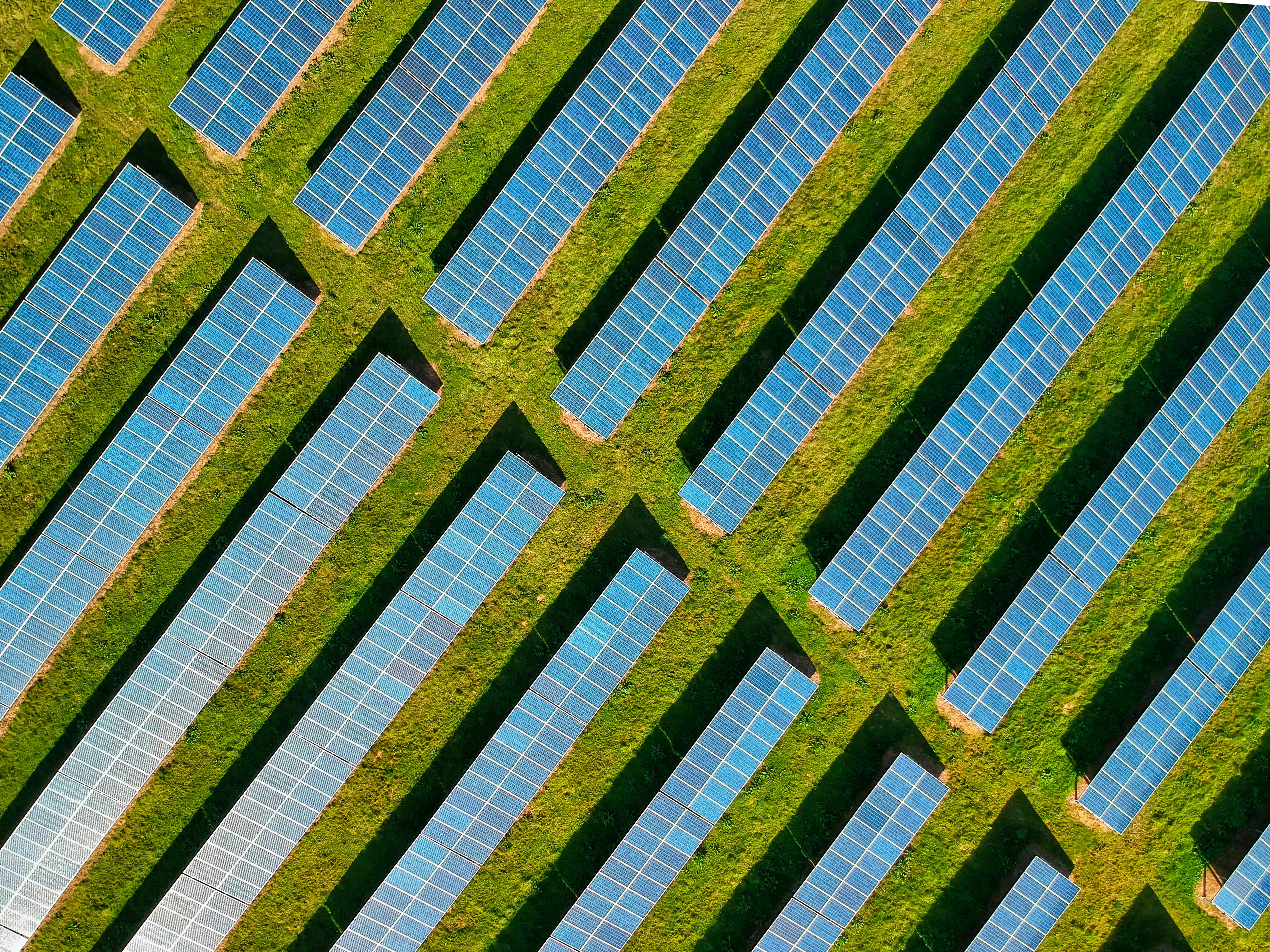a solar farm